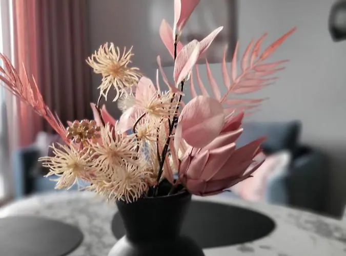 A71 Laguna Beskidów Wellness&spa żeglarski Zarzecze (Silesia)